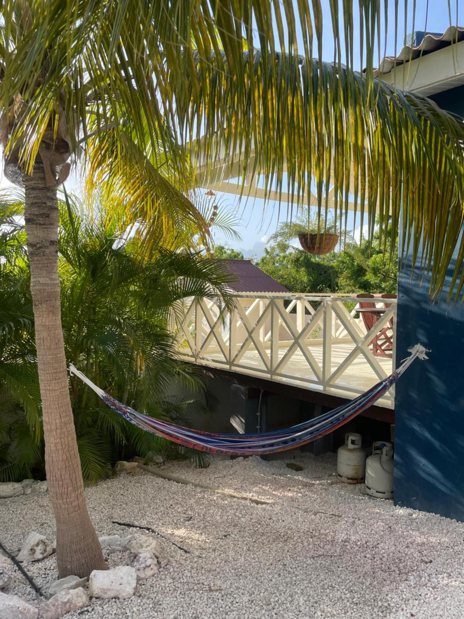 Mini Resort Kaya Verdi Willemstad Exteriér fotografie